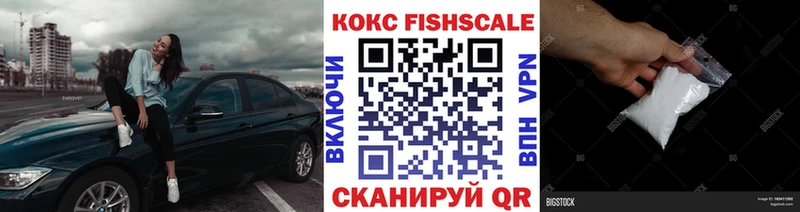 закладка Гусев КОКАИН FishScale