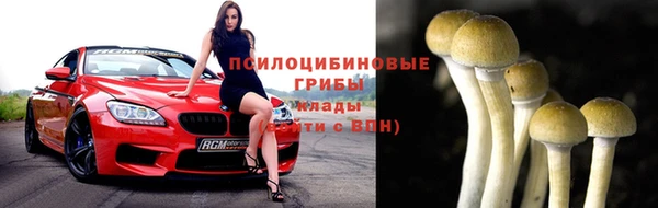 каннабис Бородино
