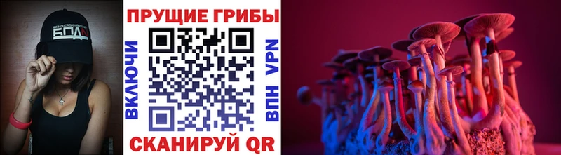 Галлюциногенные грибы GOLDEN TEACHER Гусев