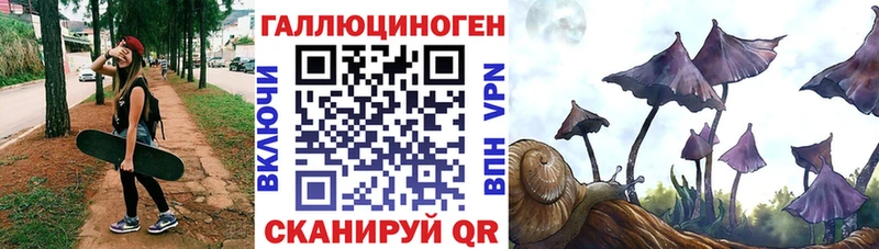 Псилоцибиновые грибы Cubensis  omg ССЫЛКА  сайты даркнета наркотические препараты  Гусев 