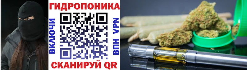 Бошки марихуана LSD WEED  Гусев 